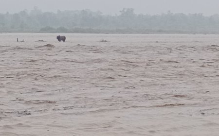 हल्द्वानी: गौला नदी का जलस्तर 55 हजार क्यूसेक पार, NHAI के चेक डेम का हुआ नुकसान