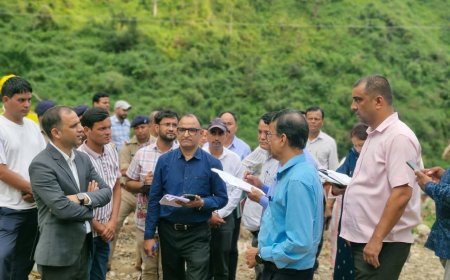 केंद्र सरकार की टीम ने बागेश्वर के पौसारी क्षेत्र का किया निरीक्षण - आपदा से हुए नुकसान का मुआयना