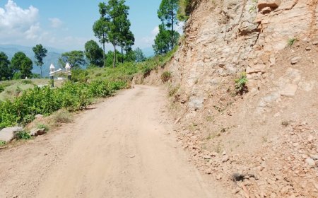 चंपावत: लुवाकोट-एड़ीधूरा सड़क मार्ग का शेष 3 किमी डामरीकरण कार्य कराने की प्रखर मांग