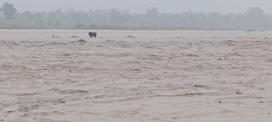 हल्द्वानी: गौला नदी का जलस्तर 55 हजार क्यूसेक पार, NHAI के चेक डेम का हुआ नुकसान
