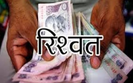 चंपावत में विजिलेंस की बड़ी कार्रवाई, दो फॉरेस्ट गार्ड ₹20 हजार की रिश्वत लेते रंगे हाथों गिरफ्तार