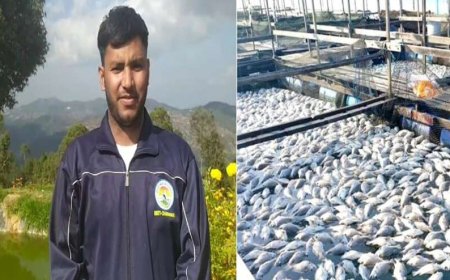 कठनौली के रोहित ने सब्सिडी का लिया लाभ, मत्य पालन कर चंपावत में बने उदाहरण