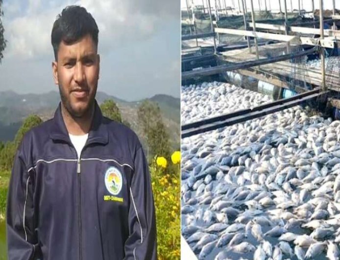 कठनौली के रोहित ने सब्सिडी का लिया लाभ, मत्य पालन कर चंपावत में बने उदाहरण