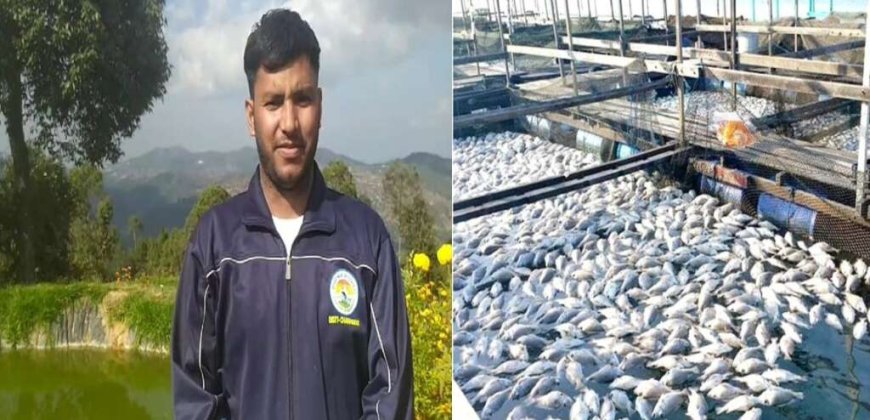 कठनौली के रोहित ने सब्सिडी का लिया लाभ, मत्य पालन कर चंपावत में बने उदाहरण