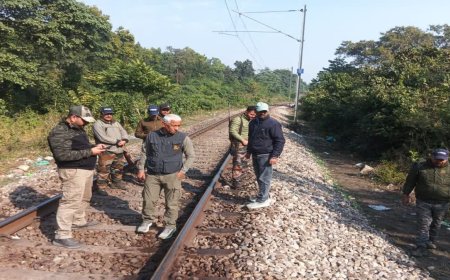 उत्तराखंड: हावड़ा एक्सप्रेस से शिशु हाथी की मौत, ट्रेन चालक हिरासत में