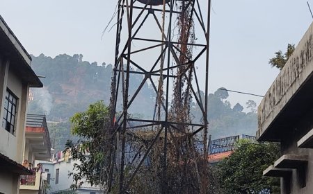 पंडित बद्रीदत्त पांडे परिसर में पानी की टंकी में लगी आग, फायर ब्रिगेड ने पाया काबू