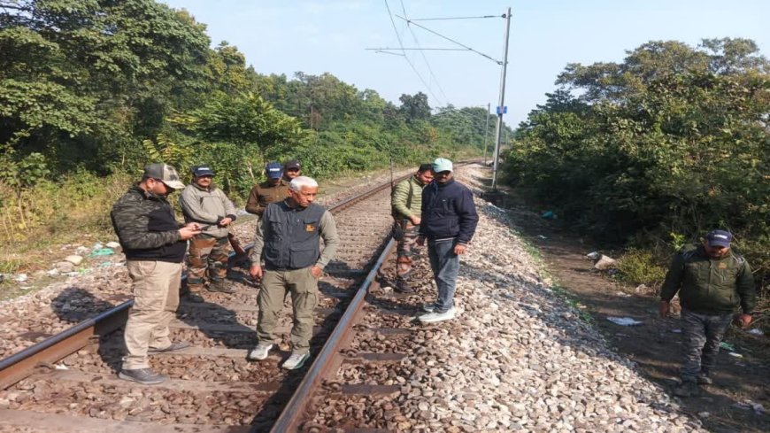 उत्तराखंड: हावड़ा एक्सप्रेस से शिशु हाथी की मौत, ट्रेन चालक हिरासत में