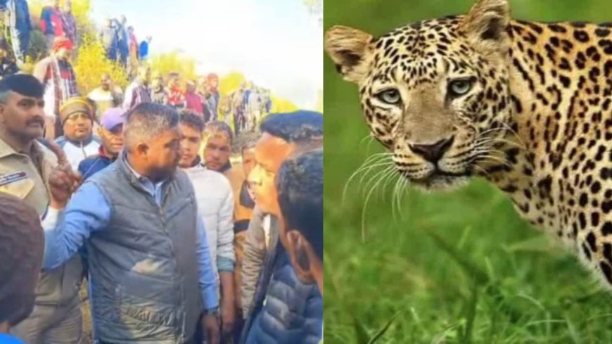 उत्तराखंड: पहाड़ में कौन बचाए, एक और ग्रामीण को गुलदार ने मार डाला