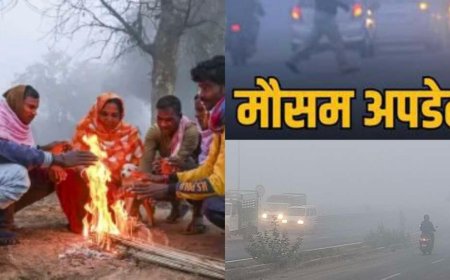 Weather: उत्तराखंड में आज का मौसम पूर्वानुमान, पाला- कोहरे से 3 डिग्री गिरा तापमान, कोल्ड डे अलर्ट इन जिलों में