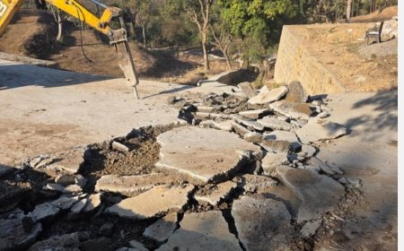 उत्तराखंड: डीएम ने अवैध प्लांटिंग और सरकारी संपत्तियों में अतिक्रमण के खिलाफ शुरू किया ध्वस्तीकरण अभियान