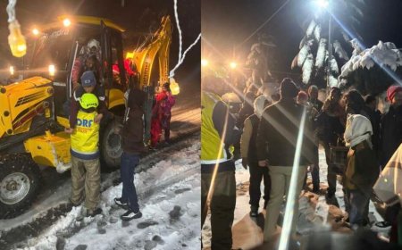 उत्तराखंड: बर्फबारी में एसडीआरएफ की त्वरित कार्रवाई से सैकड़ों लोगों को सुरक्षित निकाला गया