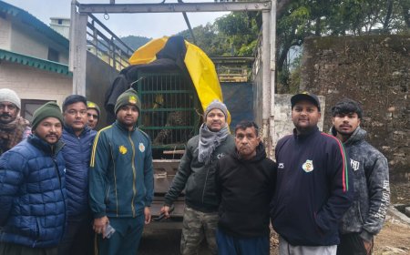 छाती–मनकोट में गुलदार पिंजड़े में कैद, मेडिकल जांच के बाद अल्मोड़ा चिड़ियाघर भेजा जाएगा