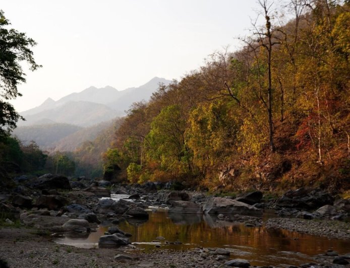 उत्तराखंड: कॉर्बेट सफारी में मोबाइल फोन बैन, सुप्रीम कोर्ट के आदेश पर लागू हुआ नया नियम