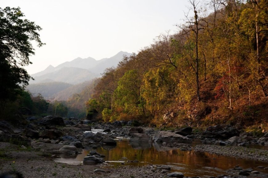 उत्तराखंड: कॉर्बेट सफारी में मोबाइल फोन बैन, सुप्रीम कोर्ट के आदेश पर लागू हुआ नया नियम