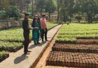 नक्षत्र वाटिका को पर्यटन हब के रूप में किया जाएगा विकसित: डीएम आकांक्षा कोंडे