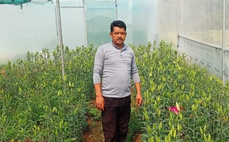 बसंत उत्सव में कपकोट के प्रगतिशील किसान दीपक सिंह गढ़िया सम्मानित