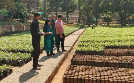 नक्षत्र वाटिका को पर्यटन हब के रूप में किया जाएगा विकसित: डीएम आकांक्षा कोंडे