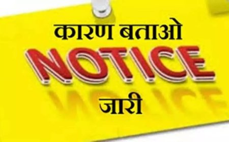 नैनीताल जिले में 34 स्कूलों को जारी हुआ कारण बताओ नोटिस - शिक्षा व्यवस्था में सुधार की आवश्यकता