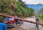 उत्तराखंड में भारी तूफान, गाड़ी पर गिरा विशाल पेड़ - जानें पूरी खबर