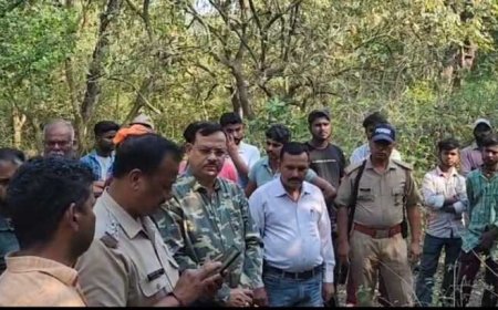 लालकुआं के टांडा जंगल में हाथी के हमले से महिला की मौत: सुरक्षा उपायों की आवश्यकता महसूस की जा रही है