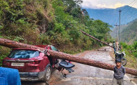 उत्तराखंड में भारी तूफान, गाड़ी पर गिरा विशाल पेड़ - जानें पूरी खबर