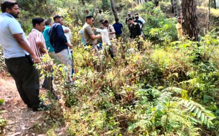 नैनीताल हादसा: ढैला गांव में कार दुर्घटना में 5 श्रद्धालुओं की जान गई