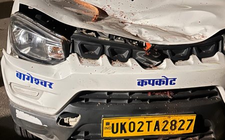बागेश्वर में बड़ा हादसा: बालीघाट के पास सड़क पर गिरा विशाल पेड़, टैक्सी हुई क्षतिग्रस्त, यातायात थमा