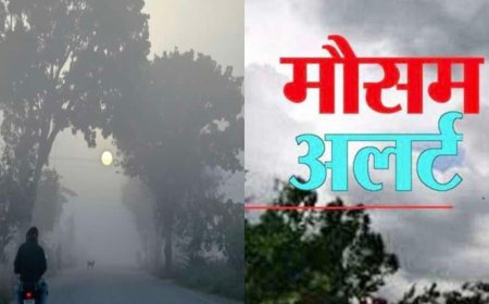 उत्तराखंड में मौसम का अलर्ट: 7 जिलों में ऑरेंज अलर्ट, तेज हवाएं और बारिश की चेतावनी