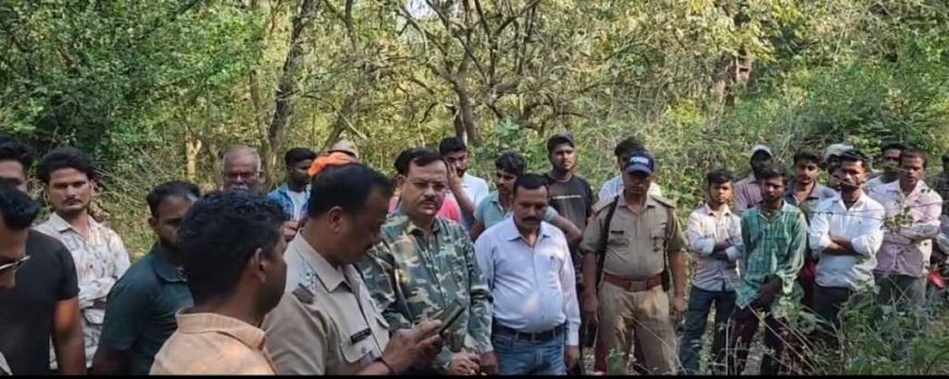 लालकुआं के टांडा जंगल में हाथी के हमले से महिला की मौत: सुरक्षा उपायों की आवश्यकता महसूस की जा रही है