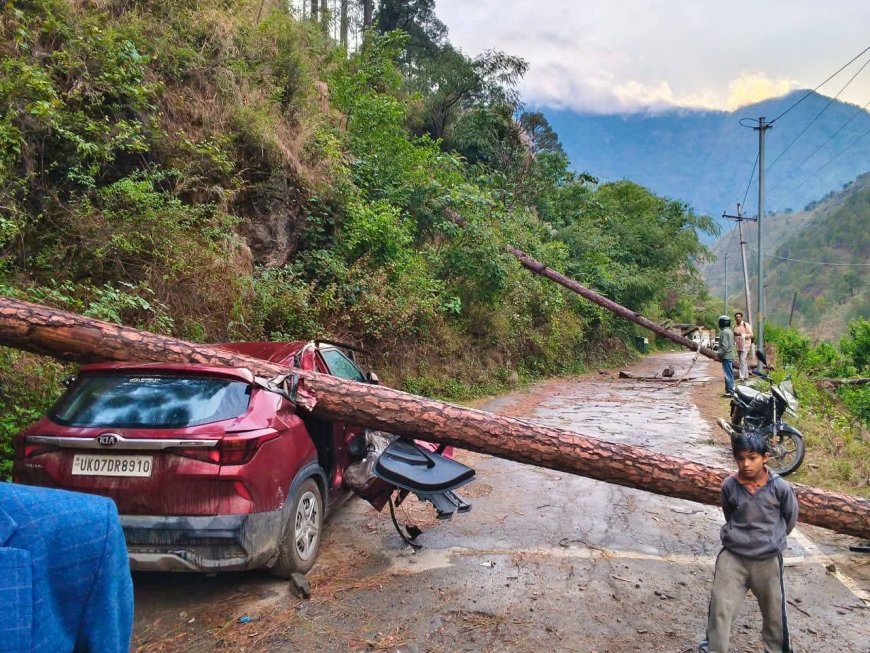 उत्तराखंड में भारी तूफान, गाड़ी पर गिरा विशाल पेड़ - जानें पूरी खबर