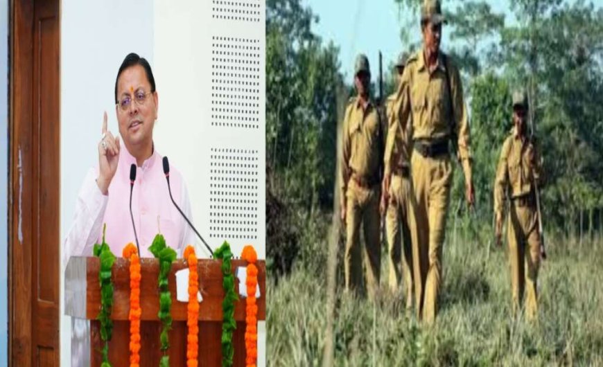 धामी सरकार का नया मास्टर प्लान: जंगलों की आग रोकने के लिए 1000 नई भर्तियां