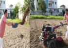 मुख्यमंत्री धामी ने खेतों में कृषि का एक नया आयाम स्थापित किया, पारंपरिक खेती को दिया समर्थन