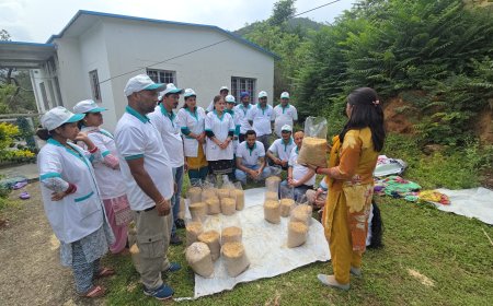 मशरूम उत्पादन प्रशिक्षण: युवाओं और महिलाओं के लिए आत्मनिर्भरता का एक नया अफसाना