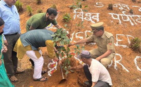 विश्व पर्यावरण दिवस पर बागेश्वर वन प्रभाग का अभूतपूर्व कदम, 101 पौधों का रोपण और स्वच्छता अभियान