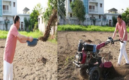 मुख्यमंत्री धामी ने खेतों में कृषि का एक नया आयाम स्थापित किया, पारंपरिक खेती को दिया समर्थन