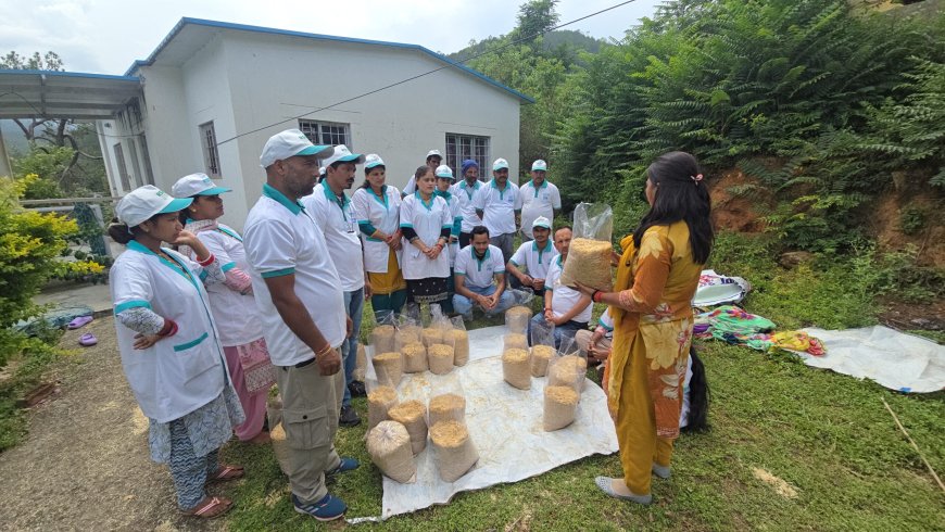 मशरूम उत्पादन प्रशिक्षण: युवाओं और महिलाओं के लिए आत्मनिर्भरता का एक नया अफसाना