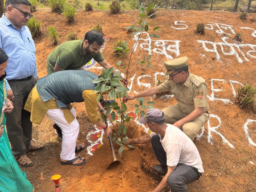 विश्व पर्यावरण दिवस पर बागेश्वर वन प्रभाग का अभूतपूर्व कदम, 101 पौधों का रोपण और स्वच्छता अभियान
