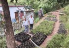 औषधीय जड़ी-बूटियों की नर्सरी का निरीक्षण: स्वरोजगार और संरक्षण पर महत्वपूर्ण चर्चा