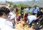 हरेला पर्व पर बागेश्वर डीआईईटी में वृक्षारोपण एवं नवाचारी गतिविधियों का आयोजन