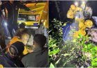 नैनीताल समाचार: भवाली-रामगढ़ मार्ग पर कार दुर्घटना, SDRF ने दंपति का सफल रेस्क्यू किया