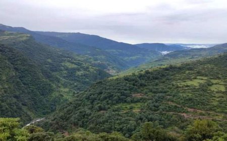 सरयू वैली में बिजली व्यवस्था को मिलेगी नई ताकत, 6.54 करोड़ की सब-स्टेशन निर्माण की मंजूरी