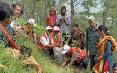 हरियाली की ओर बढ़े कदम, मनकोट क्षेत्र में जनभागीदारी से सजेगा बंजर पहाड़