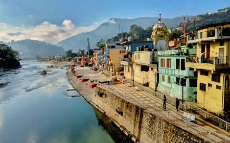 बागेश्वर में 405 ग्राम पंचायतों के 403 उप प्रधान निर्विरोध चुने गए