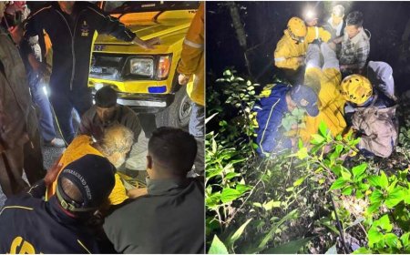 नैनीताल समाचार: भवाली-रामगढ़ मार्ग पर कार दुर्घटना, SDRF ने दंपति का सफल रेस्क्यू किया