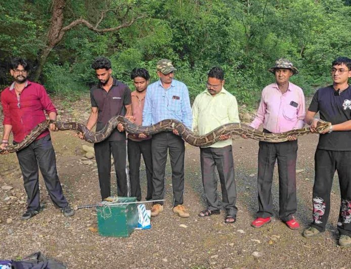 उत्तराखंड में मिला 18 फीट लंबा विशालकाय अजगर, जानिए क्या है इसकी कहानी