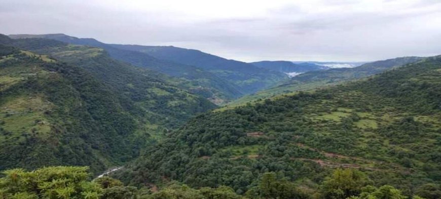 सरयू वैली में बिजली व्यवस्था को मिलेगी नई ताकत, 6.54 करोड़ की सब-स्टेशन निर्माण की मंजूरी