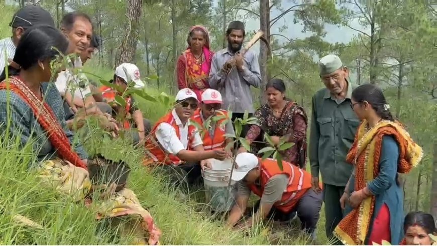 मनकोट क्षेत्र में जनभागीदारी से हरियाली की ओर बढ़े कदम, बंजर पहाड़ सजेगा नई छवि से