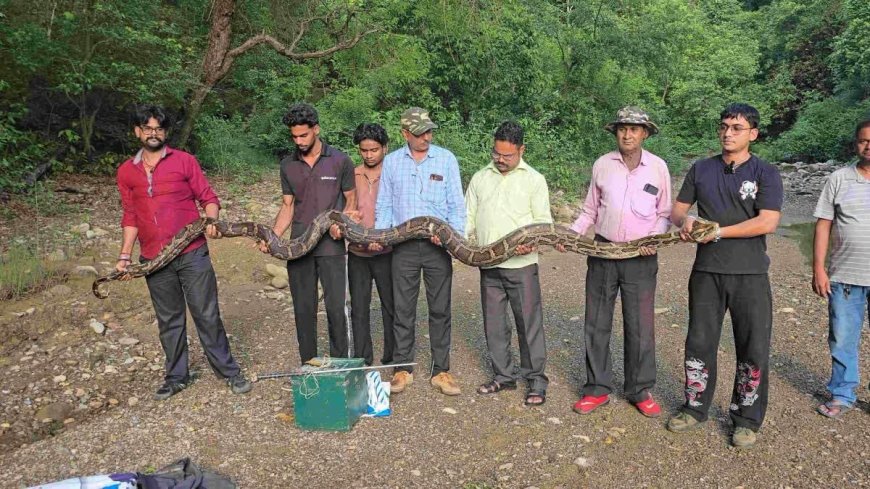 उत्तराखंड में मिला 18 फीट लंबा विशालकाय अजगर, जानिए क्या है इसकी कहानी
