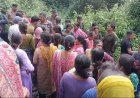 उत्तराखंड: अल्मोड़ा के सल्ट में बाघ के हमले से महिला की मौत, बढ़ रहा वन्यजीवों का आतंक