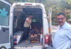 चम्पावत हादसा: बनलेख में खाई में गिरी कार, एक की जान गई, तीन गंभीर घायल